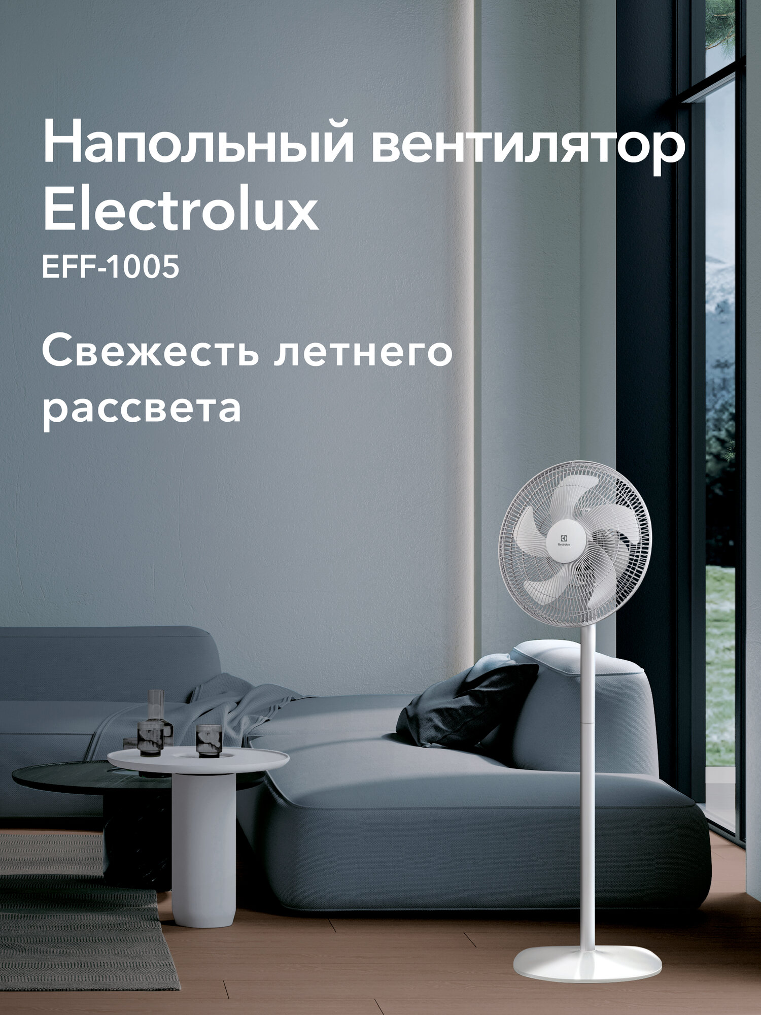 Electrolux EFF-1005M — фото, цена, отзывы