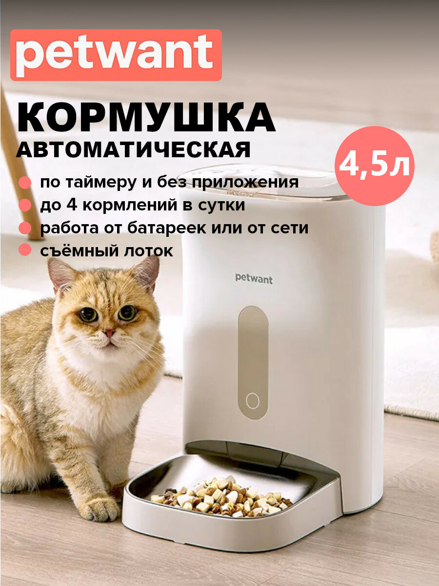 Умные кормушки для кошек и собак: выбираем лучшую в 2026 году