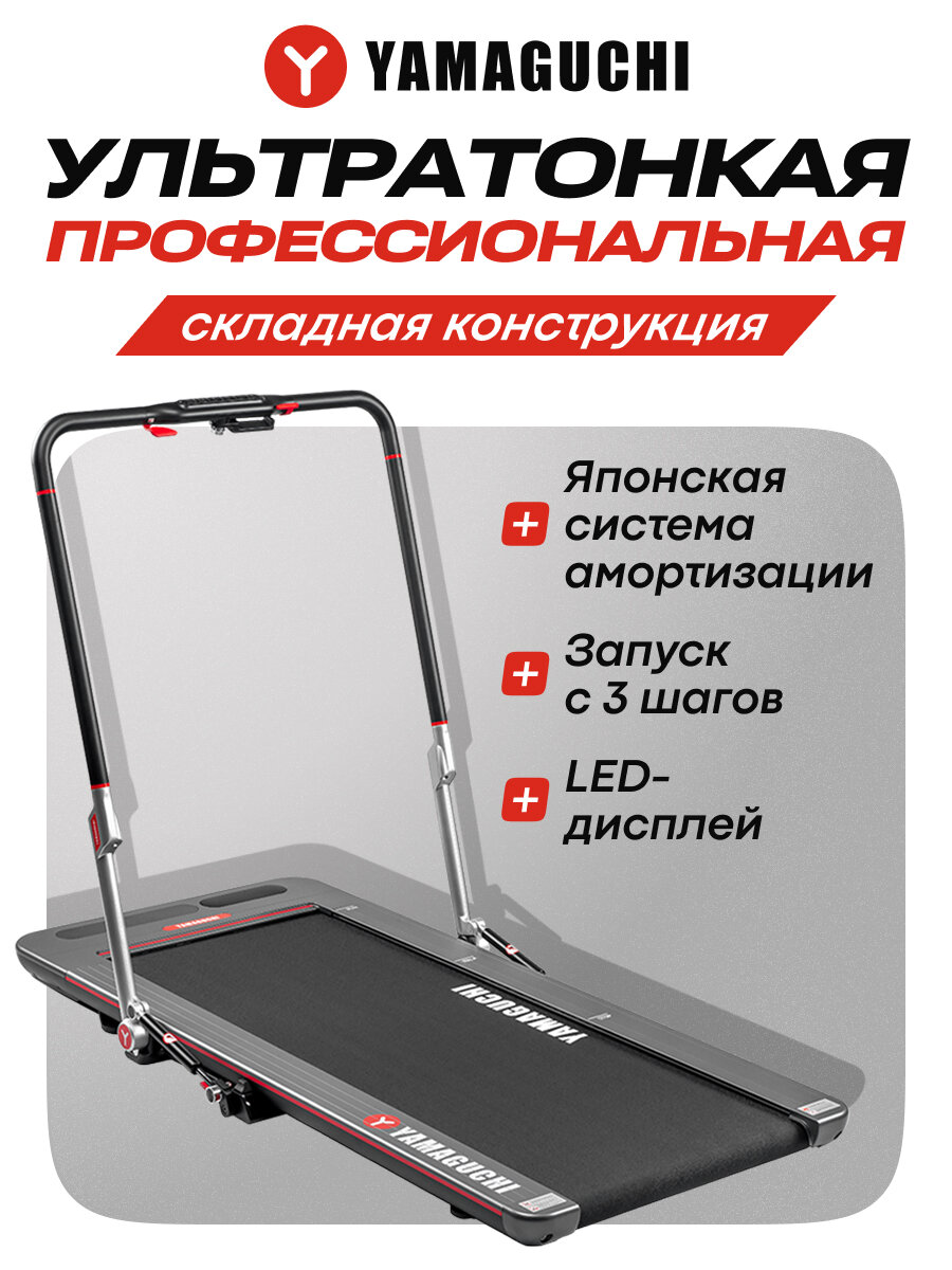 Bradex RunWay Pro — фото, цена, отзывы