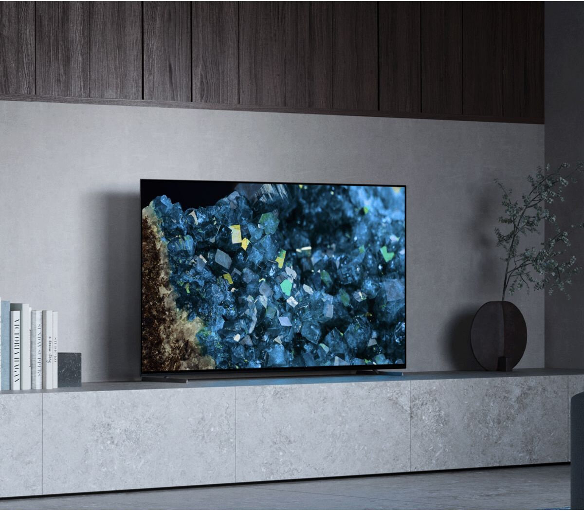 Sony Bravia XR-65A80L — фото, цена, отзывы